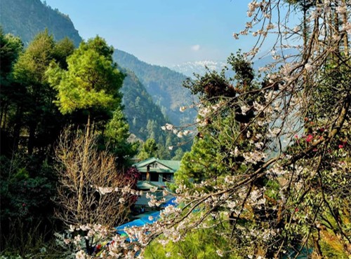 Acclimatization day in Namche - Hike to Everest View Hotel