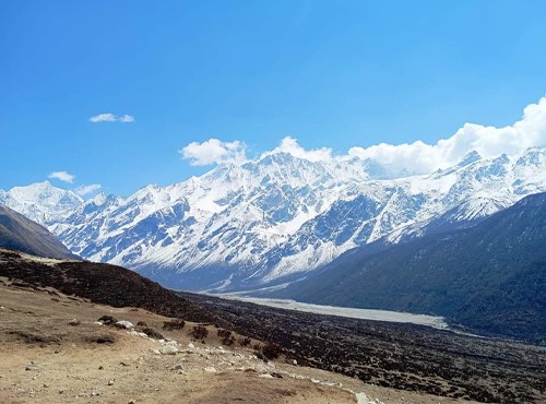 Langtang Valley Trek: A Serene Himalayan Escape for Nature Lovers