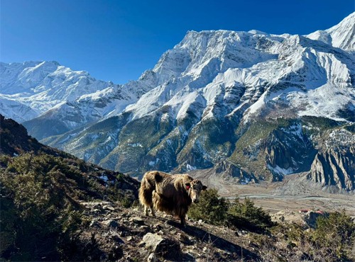 Edit Nepal Trekking in September 2026: Tips, Routes & Highlights