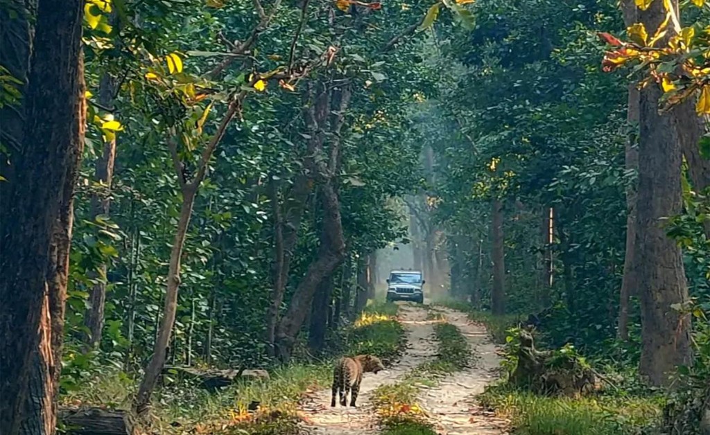 bardia-jungle-safari-tour