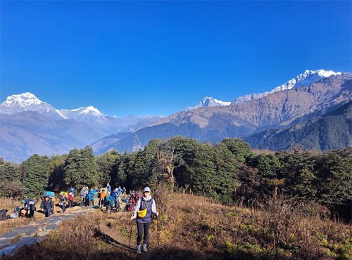 Mohare Danda Trek - 5 Days
