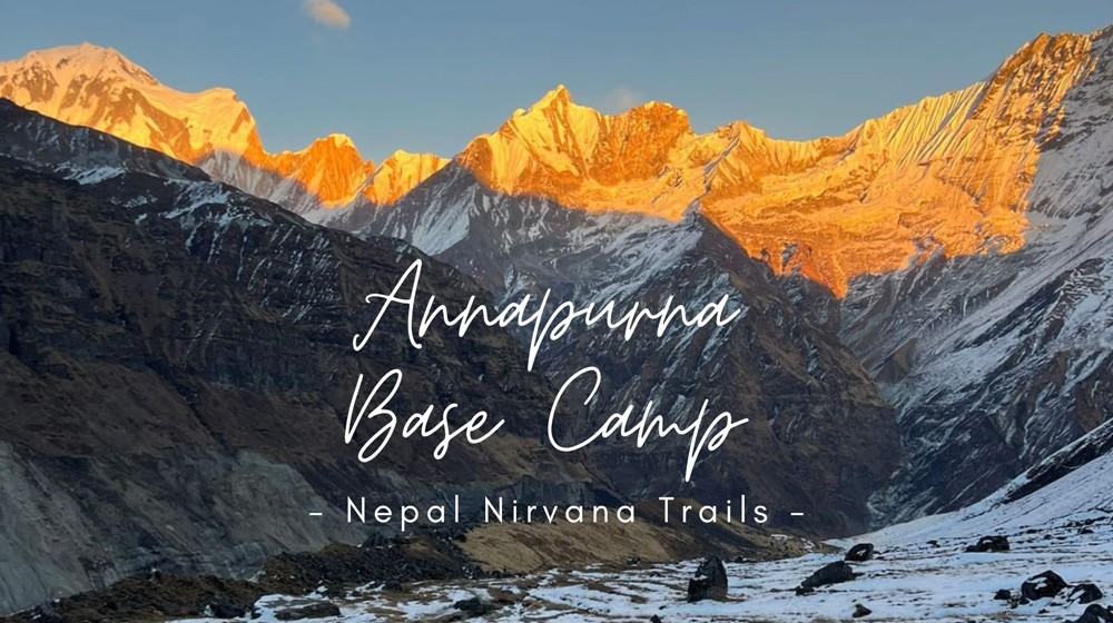 Annapurna Base Camp Trek Review | Nepal Nirvana Trails